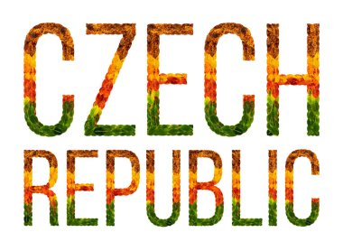Word Çek Cumhuriyeti ülke Çek Cumhuriyeti yaratıcı bir gelişmekte olan ülke renkli yaprakları yaprakları beyaz yalıtılmış arka planda, baskı için bir afiş ile bulunmakta
