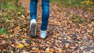 Bir adam yürüme durdurur. Kızlar kız. Sarı yaprakların arasında parkta niteliğine sıcak kızlar. Parlak renkler sonbahar park.