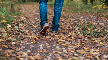 Bir adam yürüme durdurur. Kızlar kız. Sarı yaprakların arasında parkta niteliğine sıcak kızlar. Parlak renkler sonbahar park