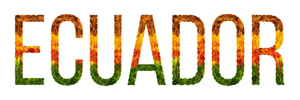 Parola paese ecuador è scritto con foglie su uno sfondo bianco isolato, uno striscione per la stampa, un paese in via di sviluppo creativo foglie colorate ecuador — Foto Stock