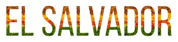 字萨尔瓦多国家是写在白色绝缘背景的叶子, 印刷的旗帜, 一个创造性的发展中国家有色叶子萨尔瓦多 — 图库照片
