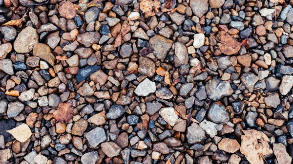 Farbige Steine im Park auf der Straße, Pflastersteine. in der Stadt am Wegesrand. Herbsttag bunte Felsbrocken. — Stockfoto