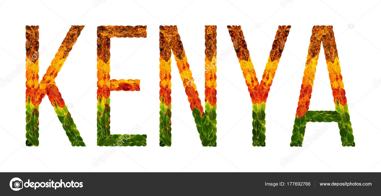 Essay writers kenya