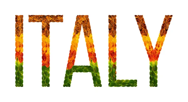 Слово Италия страна написана с листьями на белом изолированном фоне, баннер для печати, творческий развивающейся страны цветные листья Италии — стоковое фото