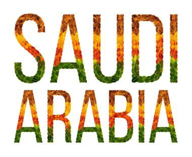 kelime Suudi Arabistan ülke Suudi Arabistan yaratıcı bir gelişmekte olan ülke renkli yaprakları yaprakları beyaz yalıtılmış arka planda, baskı için bir afiş ile bulunmakta