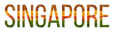 Word Singapur ülke Singapur yaratıcı bir gelişmekte olan ülke renkli yaprakları yaprakları beyaz yalıtılmış arka planda, baskı için bir afiş ile bulunmakta