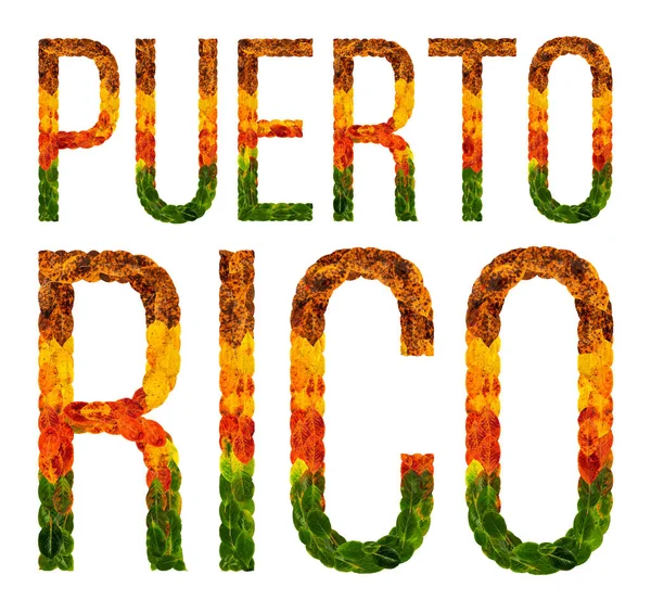 単語、プエルトリコの国は絶縁白地、印刷用バナーに葉と書かれている色の創造的な発展途上国、プエルトリコの葉 — ストック写真