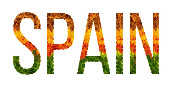 词西班牙国家写与叶子在白色绝缘的背景, 横幅为打印, 一个创造性的开发的国家上色叶子西班牙 — 图库照片