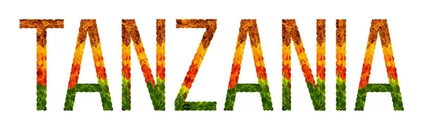 Слово "країна танзанії" пишеться з листям на білому ізольованому фоні, банером для друку, творчим розвитком кантрі-кольорових листя танзанії — стокове фото