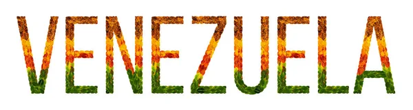 Parola venezuela paese è scritto con foglie su uno sfondo bianco isolato, uno striscione per la stampa, un paese in via di sviluppo creativo foglie colorate venezuela — Foto Stock