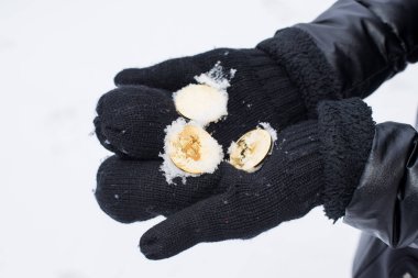 Kışın eldiven içinde altın bitcoin. Kışın para kaybı Kripto para birimi.