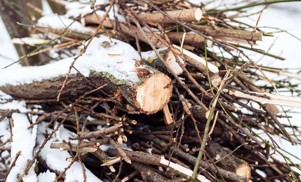 Leña en bosques cubiertos de nieve. En invierno, un primer plano de los árboles aserrados. Los troncos recogidos para el fuego . —  Fotos de Stock