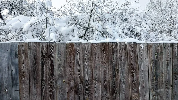 Забор древесины в городе зимой в природе. Доски покрыты снегом. На фоне кустов и деревьев, усыпанных снегом. Красивая текстура деревянных досок, на открытом воздухе в мороз . — стоковое фото