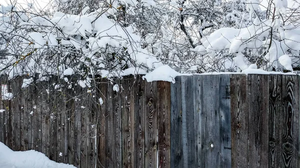 Красивый деревянный забор зимой. Доски покрыты снегом. Крупный план ветвей. На фоне кустов и деревьев, усыпанных снегом. Красивая текстура деревянных досок, на открытом воздухе в мороз . — стоковое фото