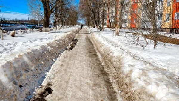 The cleared road in the park, cleaned in winter in city, the road cleaned by a sunny day. Asphalt in snow next to the fence.