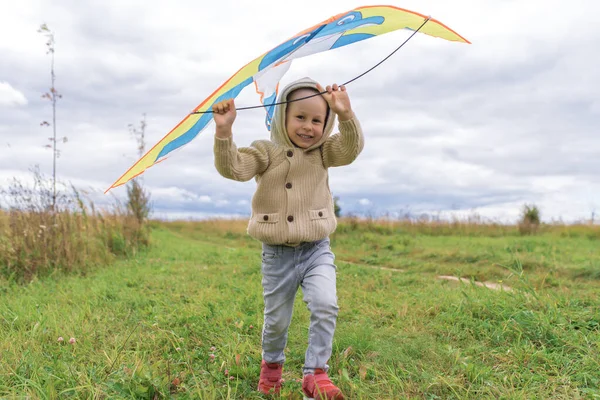 Anak laki-laki berusia 4-5 tahun, meluncurkan layang-layang, dengan sweater hangat dengan tudung, tersenyum bahagia. Berjalan di musim panas di taman musim gugur. Ruang kosong untuk teks . — Stok Foto
