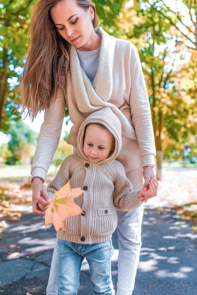 Kadın anne oğluyla oynuyor, takozu tutuyor, küçük çocuk, sonbaharda şehirde, parkta yürüyor, çim arka planı, sıcak günlük kıyafetler, kapüşonlu bej bir hırka. Soğuk hava esintisi. İlgili ebeveynlik. — Stok fotoğraf