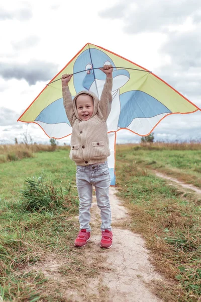Bayi tertawa. Di tangan adalah layang-layang. Anak laki-laki berusia 3-5 tahun, latar belakang musim gugur, emosi senang tertawa menyenangkan kesenangan kebahagiaan. Sweater hangat rajutan dengan tudung. Bermain pesawat terbang layang-layang. — Stok Foto