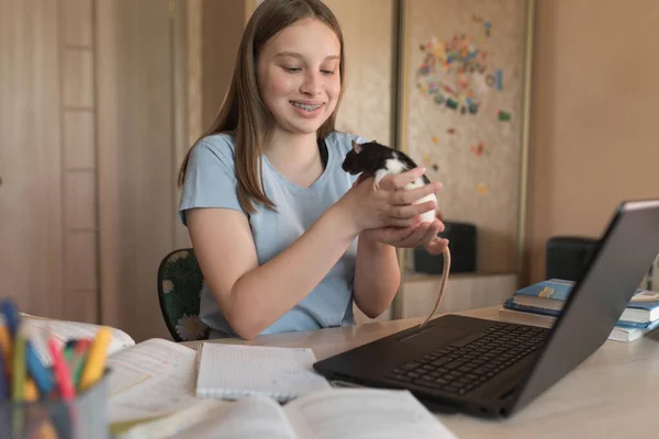 Happy girl in brackets, teenager plays at home with a mouse in his hands, a pet rat, online video training, a laptop with Internet. Distance education during quarantine, stay at home.