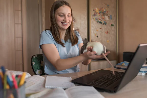 Menina adolescente, sorrindo feliz, aparelho nos dentes, rato rato nas mãos, brinca com animal, mostra mouse via conexão de vídeo redes sociais Internet, casa de lazer educação eletrônica, laptop vídeo conferência — Fotografia de Stock