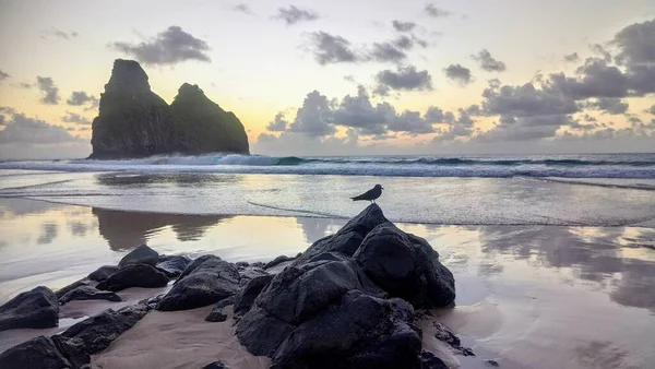 Bird Rock Beach Fernando Noronha Brazil — Stock Photo, Image