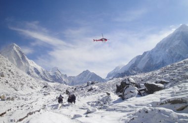Kurtarma helikopteri ve öküzler Everest Ana Kampında.