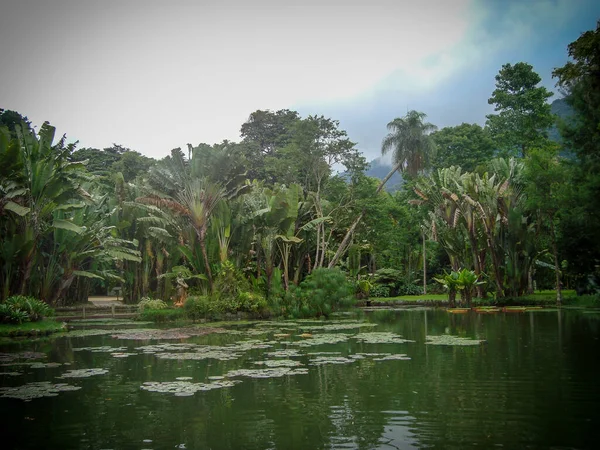 Botanische Tuin Rio Janeiro Brazilië — Stockfoto