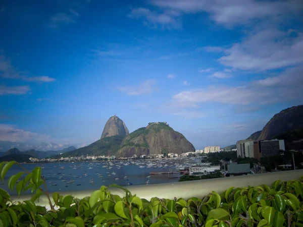 ブラジルを背景にしたシュガーローフ — ストック写真