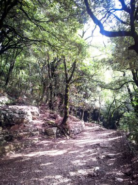 Subasio Dağı, Assisi, İtalya 'da güzel bir patika.