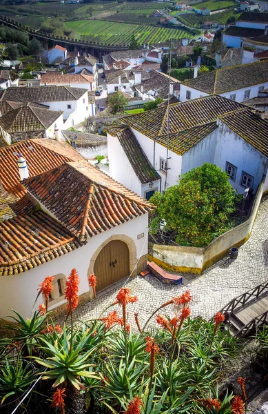 Domy Střechy Obidos Portugalsko — Stock fotografie