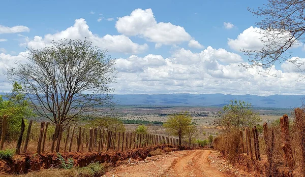 Hermosa Escena Camino Tierra Mucuge Bahia Brasil — Foto de Stock