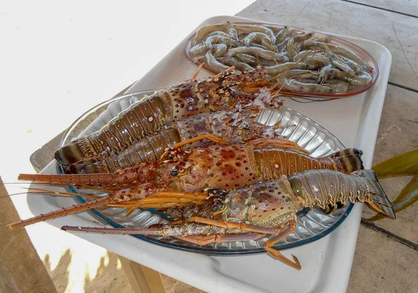 Φρέσκα Ψάρια Γαρίδες Και Αστακός Πριν Από Μαγείρεμα — Φωτογραφία Αρχείου