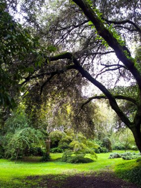 İtalya 'daki Giardini di Ninfa' da yıkıntı ve reflasyon