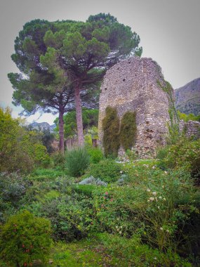 İtalya 'daki Giardini di Ninfa' da yıkıntı ve reflasyon