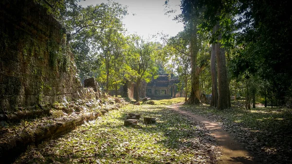 Ruiny Świątyni Prohm Angkor Wat Starożytna Architektura Khmerów Pobliżu Siem — Zdjęcie stockowe