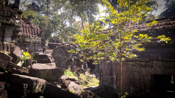 Ruinen Des Tempels Prohm Angkor Wat Alte Khmer Architektur Der — Stockfoto