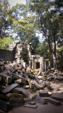 Angkor Wat 'taki Ta Prohm tapınağının kalıntıları. Siem Reap yakınlarındaki Antik Khmer mimarisi, Kamboçya