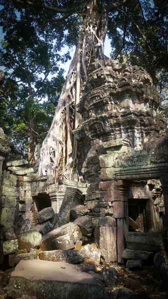 Ruinen Des Tempels Prohm Angkor Wat Alte Khmer Architektur Der — Stockfoto