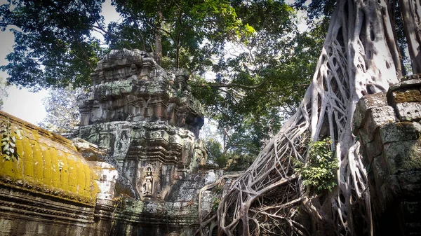 Ruines Temple Prohm Angkor Wat Ancienne Architecture Khmère Près Siem — Photo