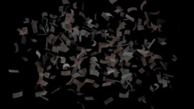 Kameraya Düşen Para