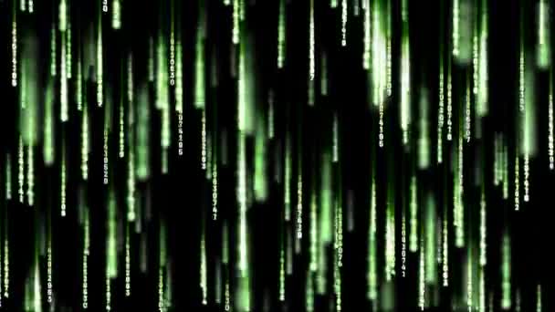 Matrix Numbers Raining — Stock Video