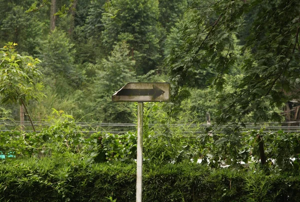 Yön sinyali, doğa tarafından çevrili.