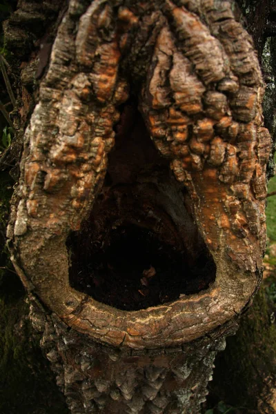 Bagajda büyük bir delik.