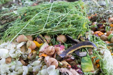 composter - mutfak atık geri dönüşüm