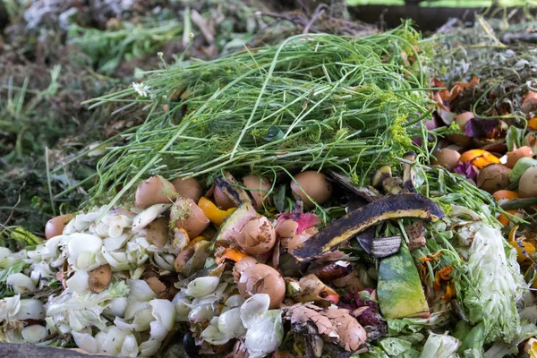 Kompostownik - recykling odpadów kuchennych — Zdjęcie stockowe