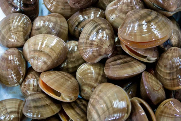 taze istiridye - deniz ürünleri