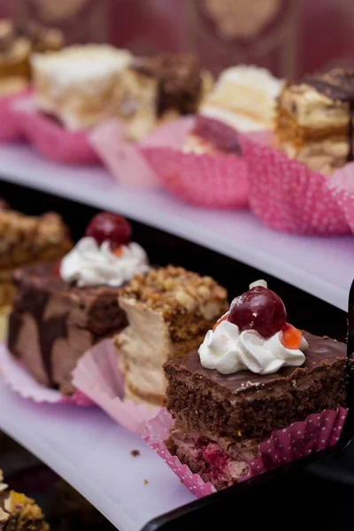 おいしいケーキ: チョコレート、ゼリー — ストック写真