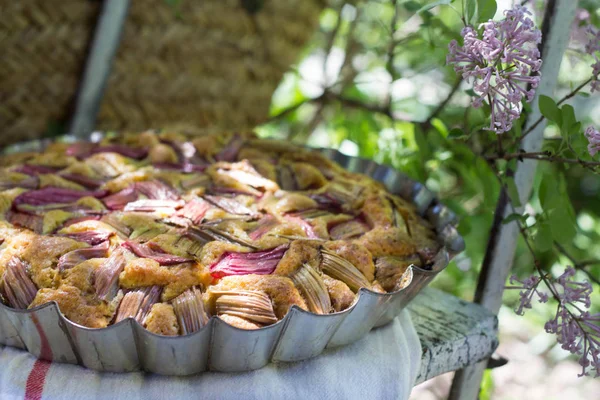 Lezzetli Taze Pişmiş Rustik Rhubarb Turtası Piknik Zamanı — Stok fotoğraf