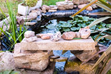 Güneşli bir yaz gününde bitkilerle ve nilüferlerle dolu küçük bir gölette dekoratif taşlar..