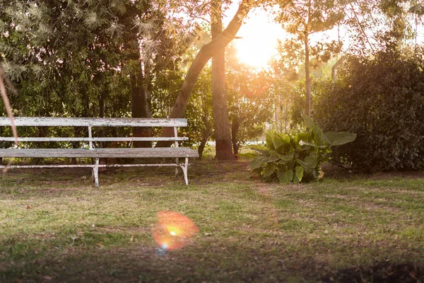 素晴らしい光と日没の間の庭の空の銀行の写真 — ストック写真